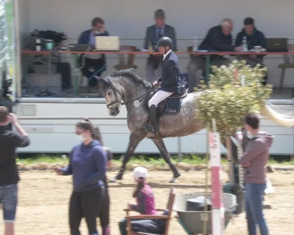 Reitturnier Zoltingen/Schw. 2021