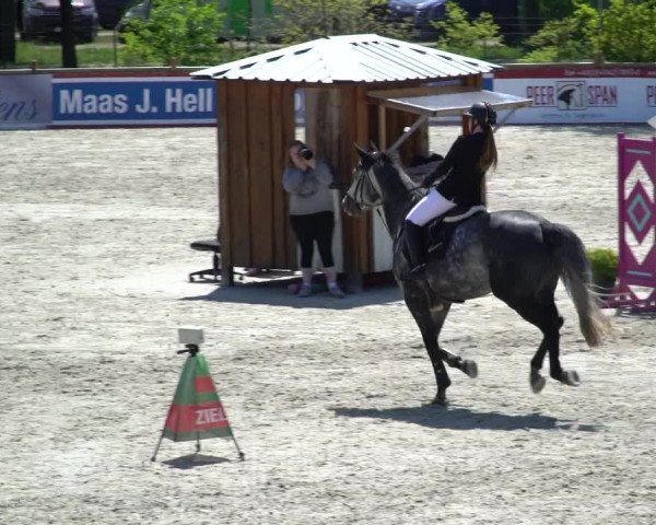 Reitturnier Westergellersen 2021