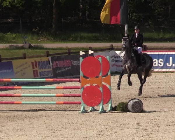 Reitturnier Westergellersen 2021