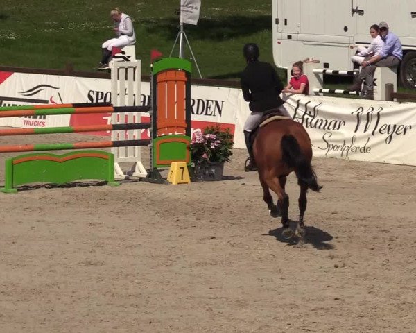 Reitturnier Westergellersen 2021