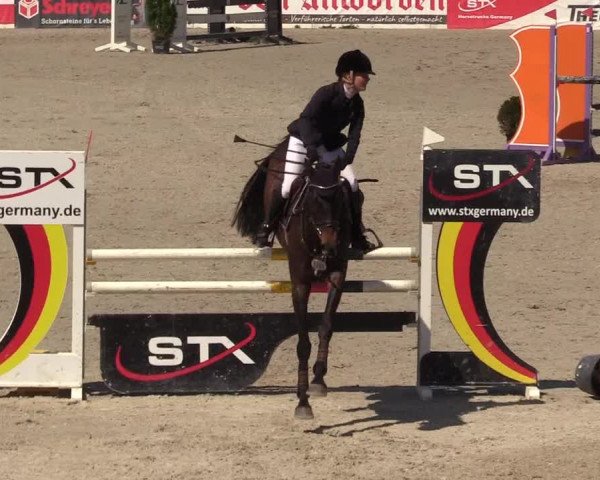 Reitturnier Westergellersen 2021