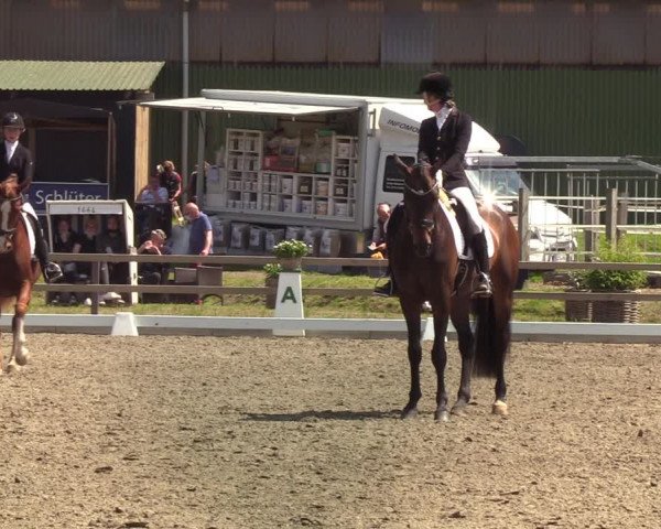 Reitturnier Kleinsolt 2021