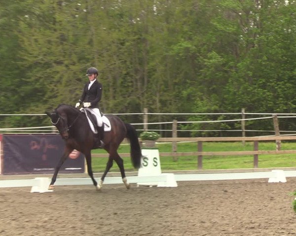 Reitturnier Kleinsolt 2021
