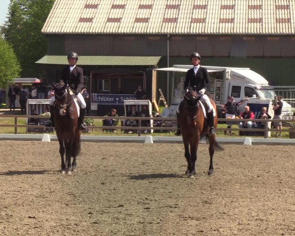 Reitturnier Kleinsolt 2021