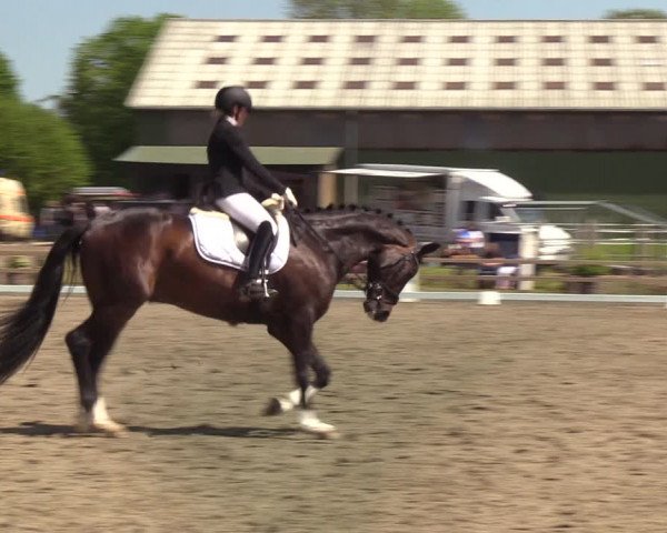 Reitturnier Kleinsolt 2021