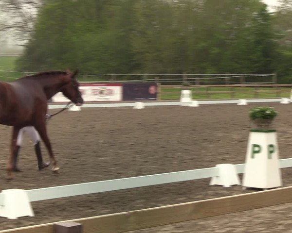 Reitturnier Kleinsolt 2021