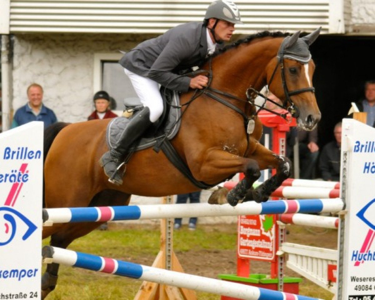 broodmare Lumera (Westphalian, 2001, from Lancer III)