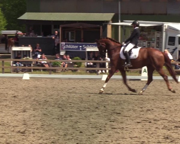 Reitturnier Kleinsolt 2021