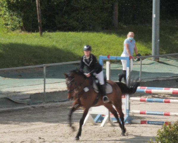 Reitturnier Harsum-Hüddessum 2021