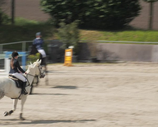 Reitturnier Harsum-Hüddessum 2021