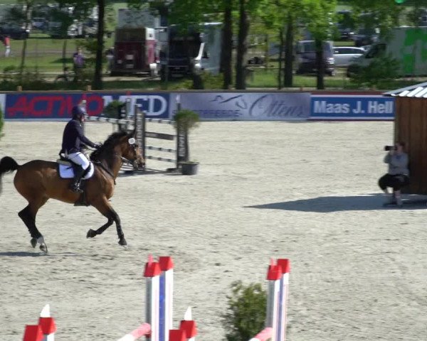 Reitturnier Westergellersen 2021