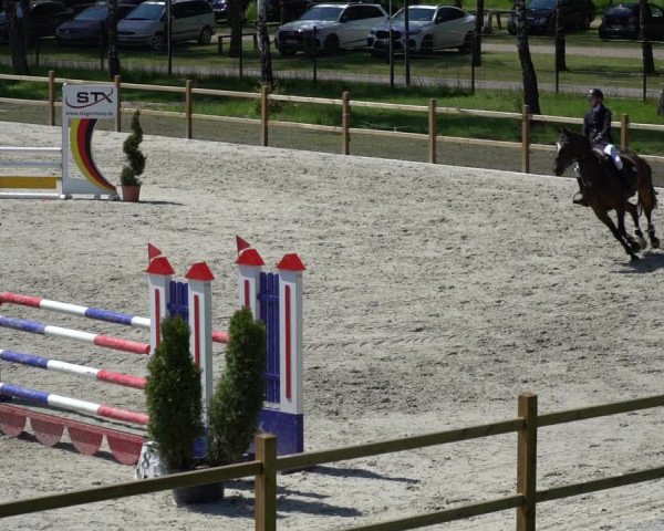 Reitturnier Westergellersen 2021