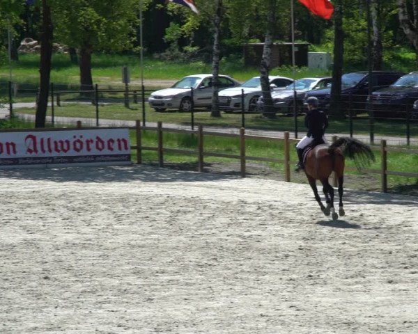 Reitturnier Westergellersen 2021