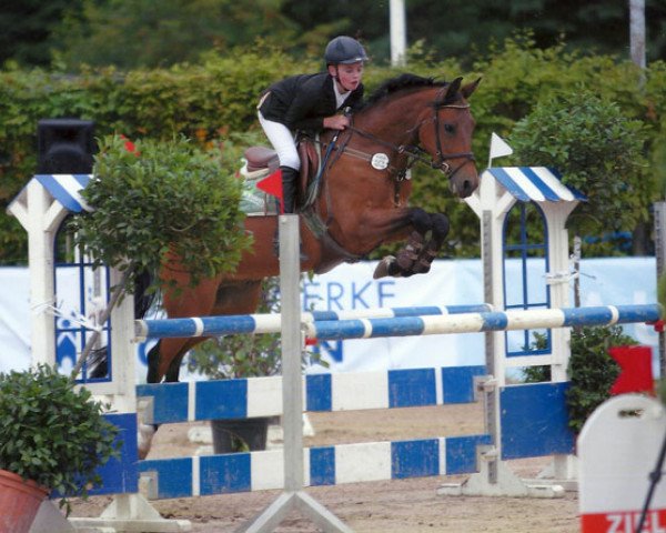 jumper Nordstern 105 (German Riding Pony, 2006, from Heidbergs Nancho Nova)