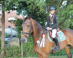 broodmare Cardenia (German Sport Horse, 2003, from Cardenio)