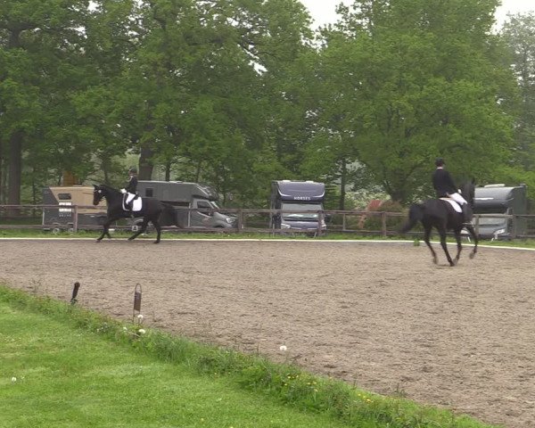 Reitturnier Schwanewede 2021