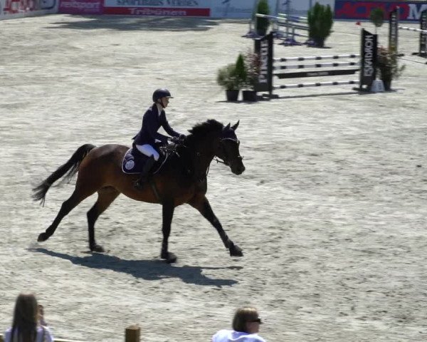 Reitturnier Westergellersen 2021