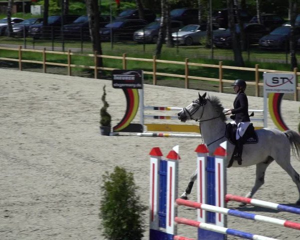 Reitturnier Westergellersen 2021