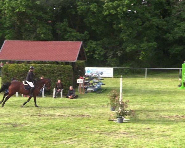 Reitturnier Königsborn 2021