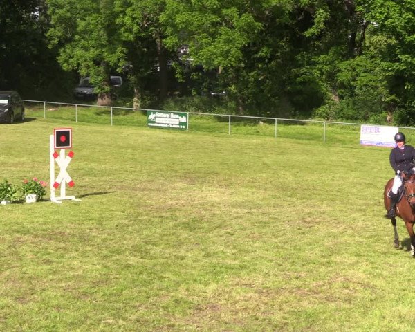 Reitturnier Königsborn 2021