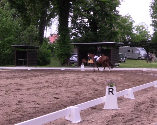 Reitturnier Königsborn 2021