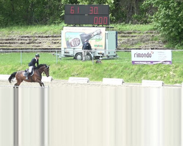 Reitturnier Schaffhausen 2021