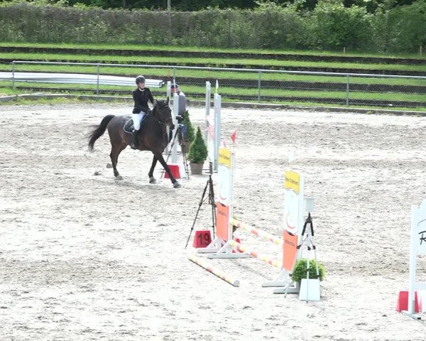 Reitturnier Schaffhausen 2021