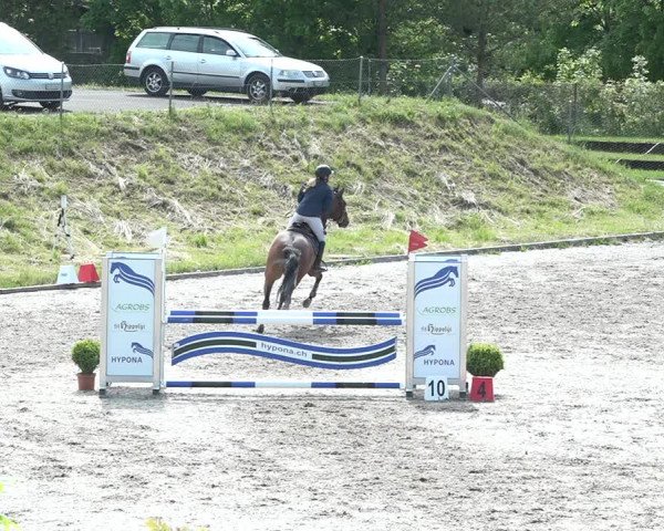 Reitturnier Schaffhausen 2021