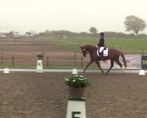 Reitturnier Kleinsolt 2021
