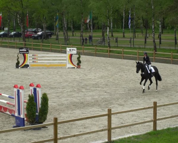 Reitturnier Westergellersen 2021