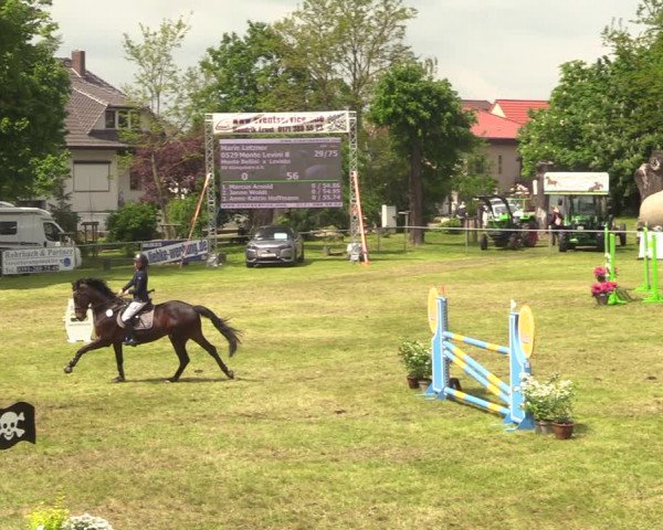 Reitturnier Königsborn 2021