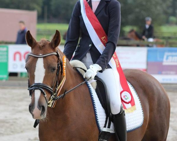broodmare Vanjalie (German Riding Pony, 2009, from Van Heinrich)