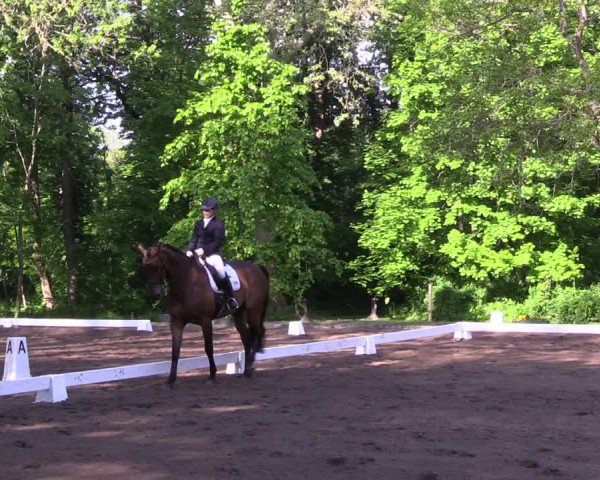 Reitturnier Königsborn 2021