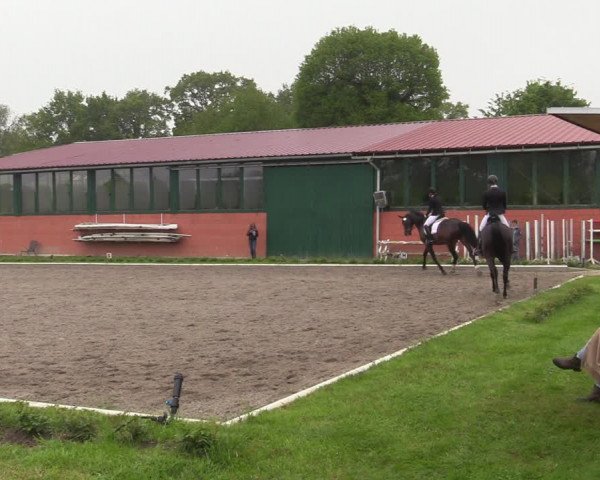 Reitturnier Schwanewede 2021