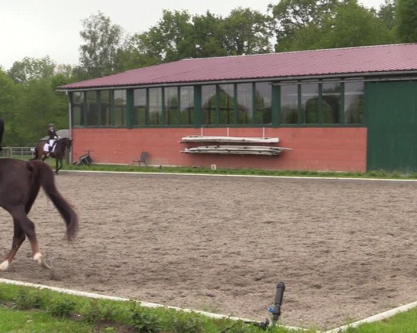 Reitturnier Schwanewede 2021