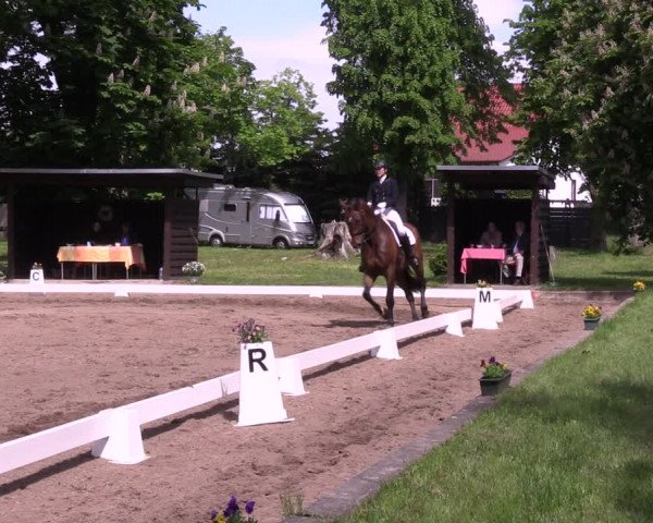 Reitturnier Königsborn 2021