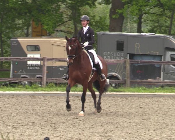 Reitturnier Schwanewede 2021