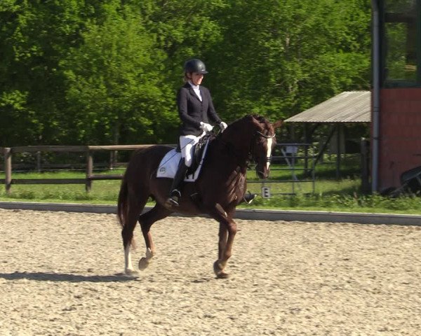 Reitturnier Schwanewede 2021