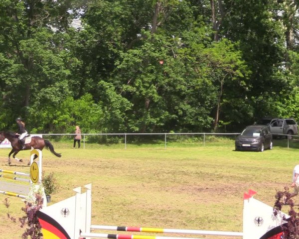 Reitturnier Königsborn 2021