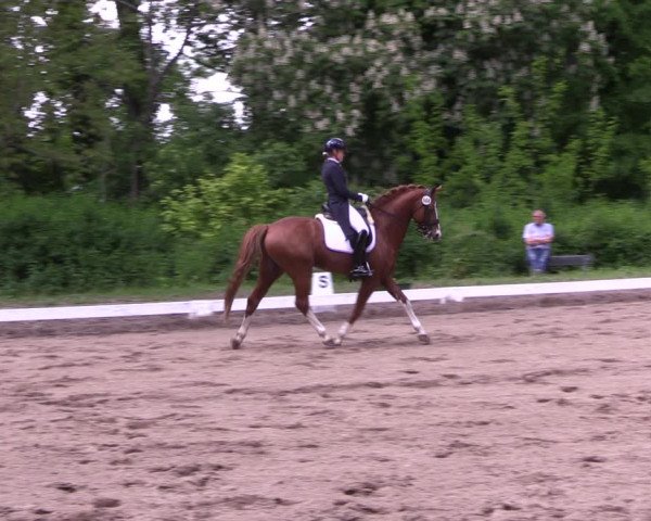 Reitturnier Königsborn 2021