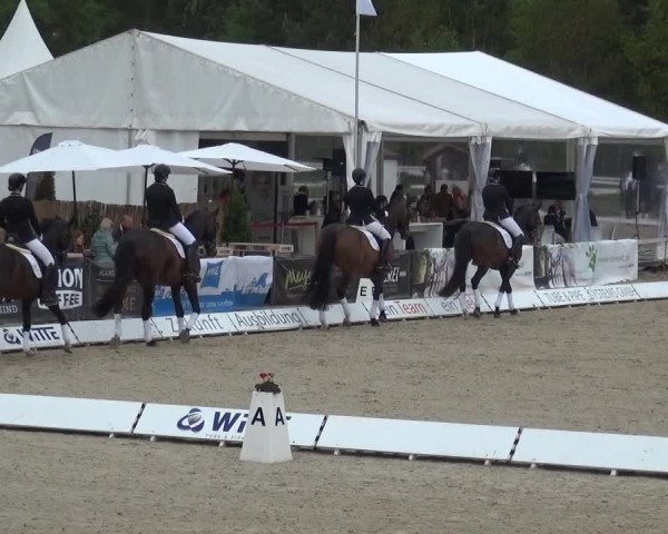 Reitturnier Rastede-Nethen 2021