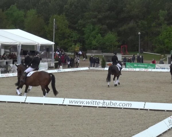 Reitturnier Rastede-Nethen 2021