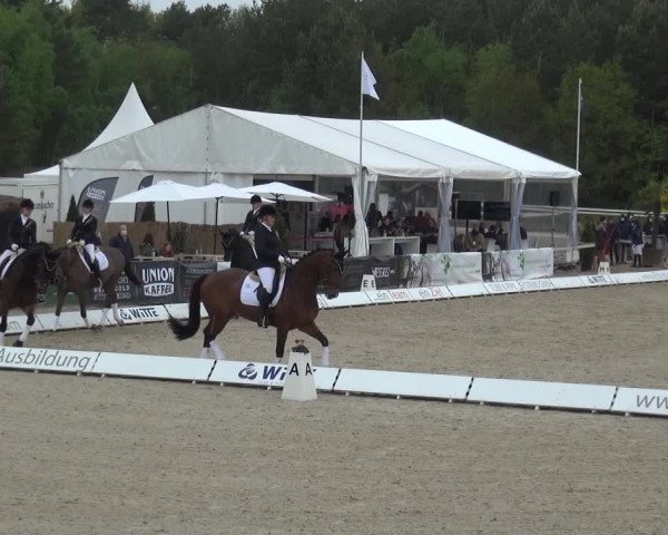 Reitturnier Rastede-Nethen 2021