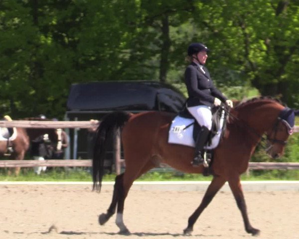 Reitturnier Schwanewede 2021