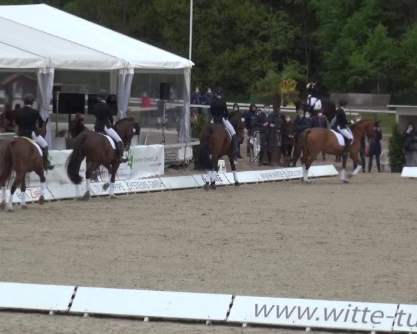 Reitturnier Rastede-Nethen 2021