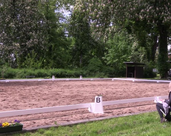 Reitturnier Königsborn 2021