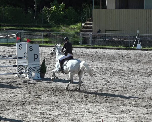 Reitturnier Schaffhausen 2021