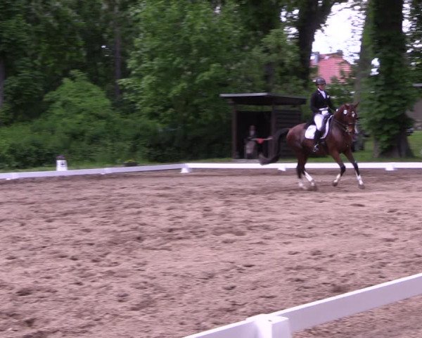 Reitturnier Königsborn 2021