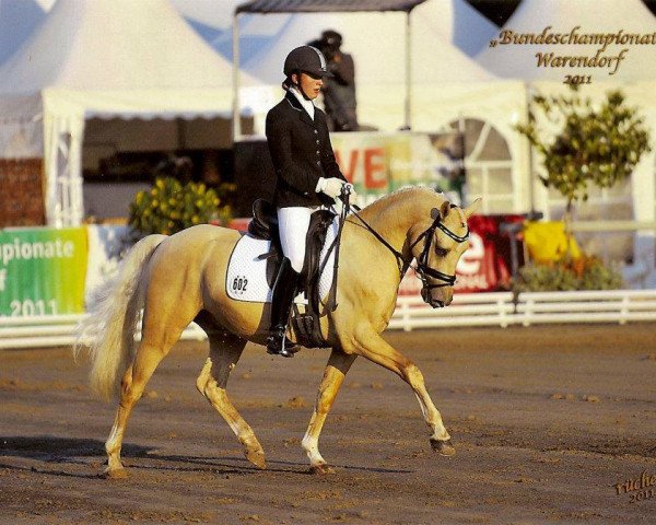 dressage horse Nacromancer's Pride (German Riding Pony, 2008, from Nacromancer in the dark)