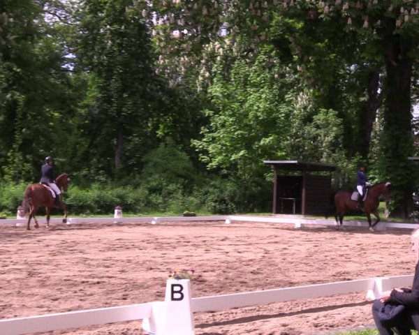 Reitturnier Königsborn 2021